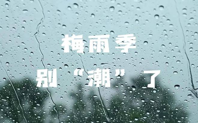 日“入梅”：茶叶这样放才不会“发霉”！亚游ag电玩2024年上海茶博会丨今(图2)